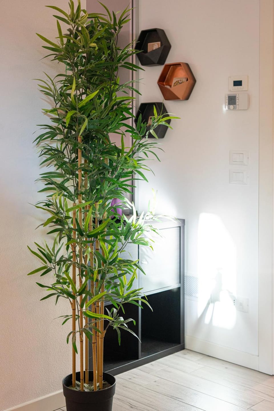 Vera Home Apartment in Emilia-Romagna