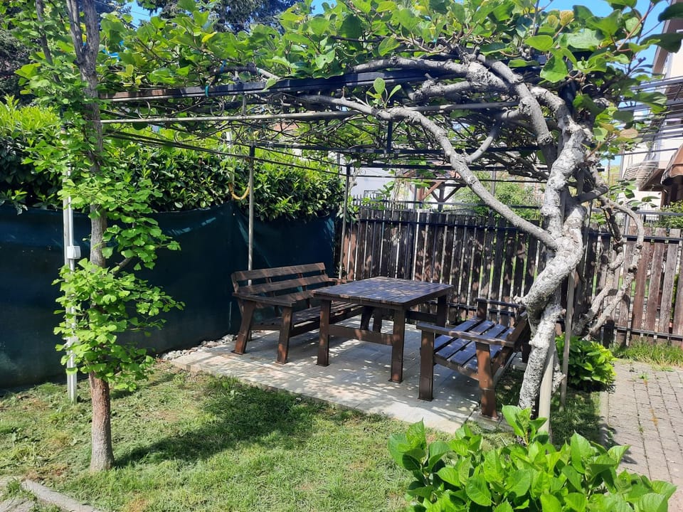 Patio, Balcony/Terrace, Dining area