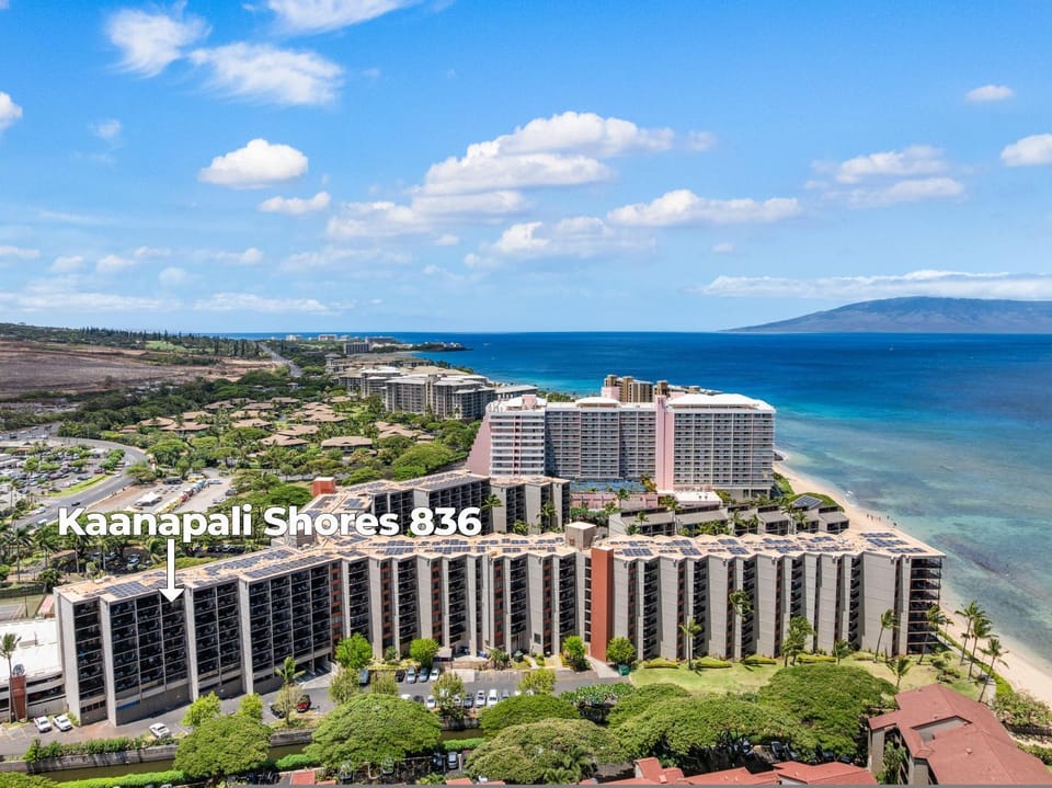Kaanapali Shores 836 · KS 836 Spacious Studio Kaanapali Oceanfro House in Kaanapali
