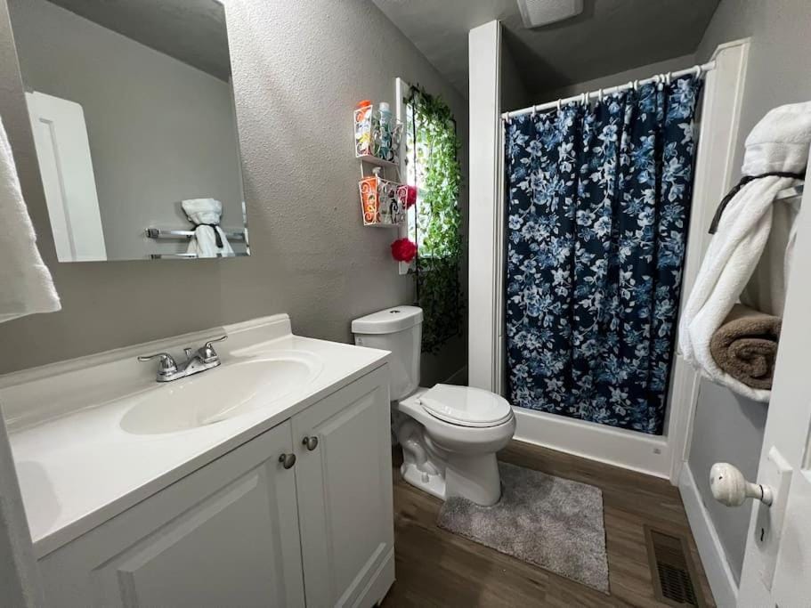 Roomy single bedroom with a huge back yard House in Billings