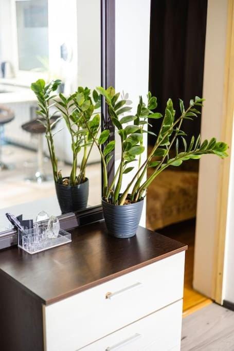 Hubane korter Järvel Apartment in Tallinn
