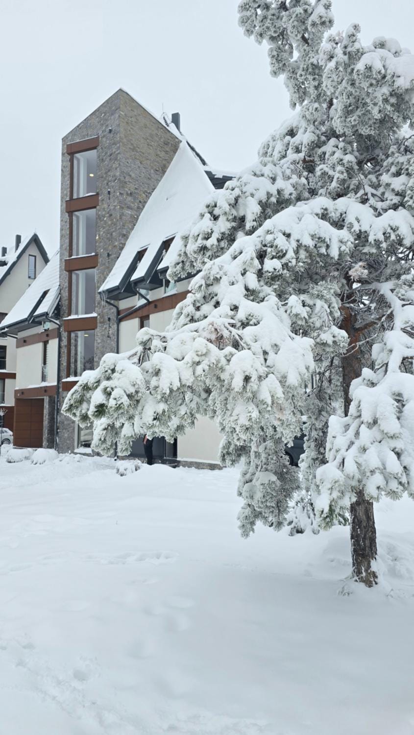 Borovi snovi Divčibare Apartment in Zlatibor District, Serbia