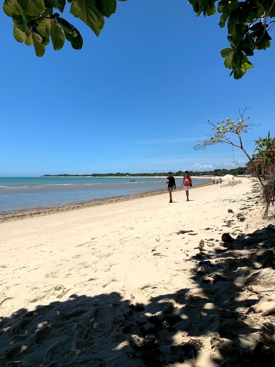 Sea view