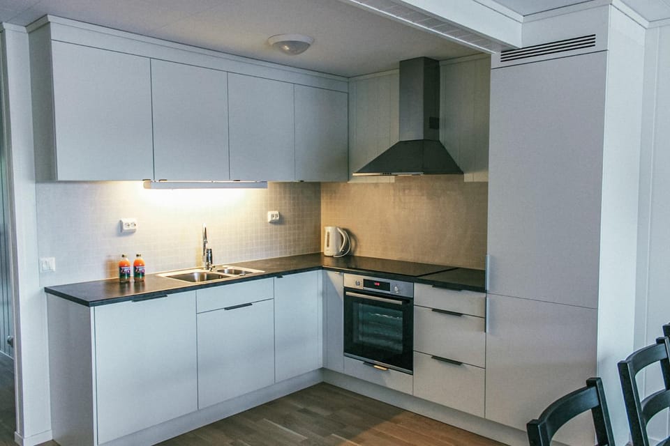 Kitchen or kitchenette, dishwasher, stove, kitchen