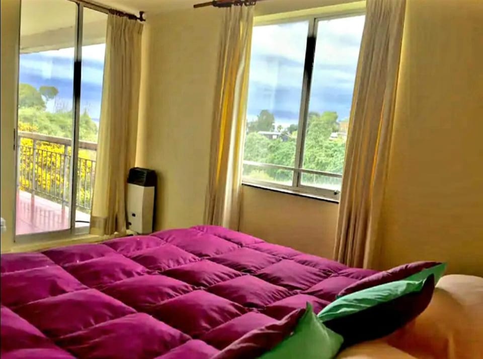 Pelluco Apartment in Los Lagos, Chile