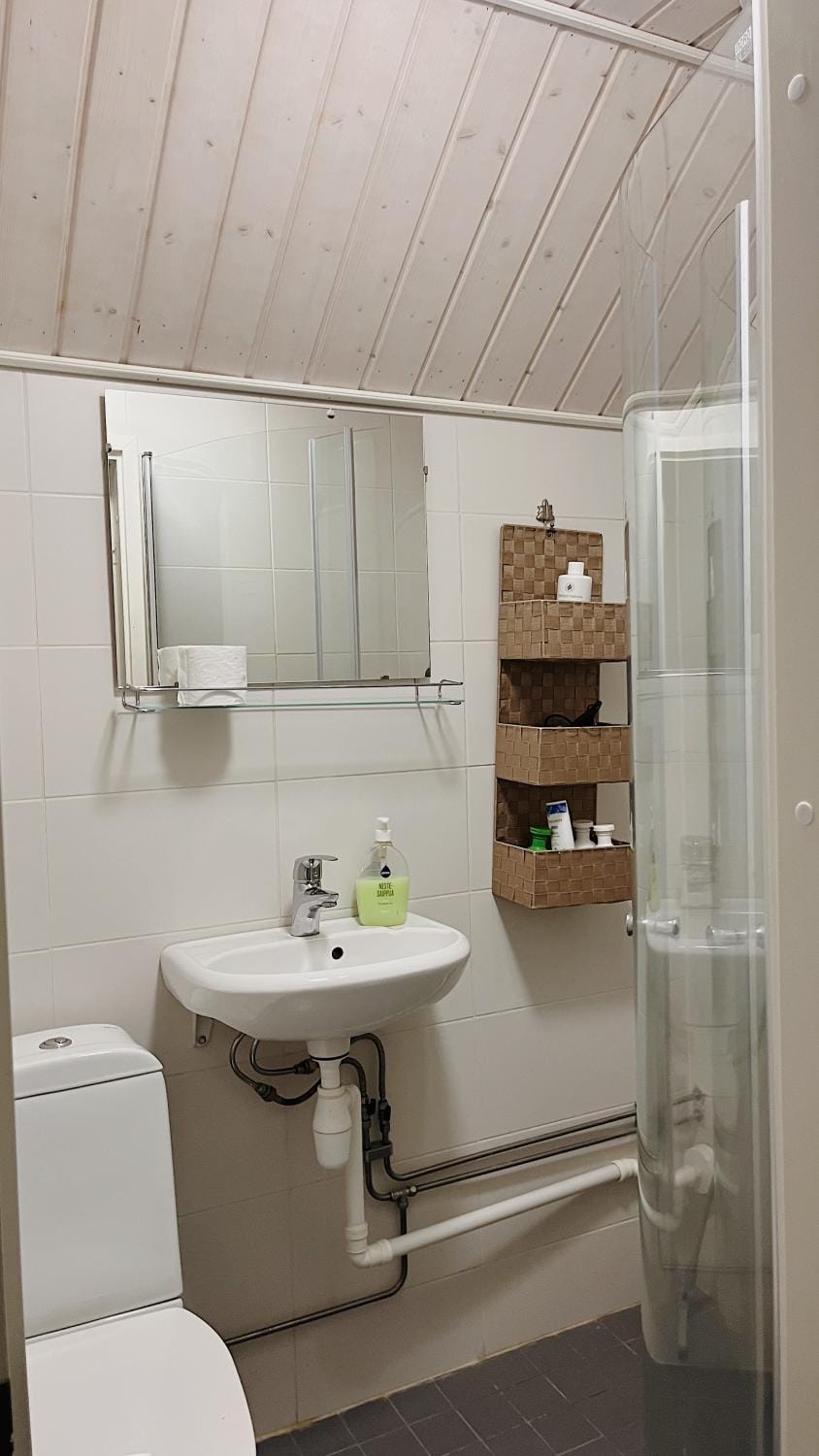 Toilet, Bathroom