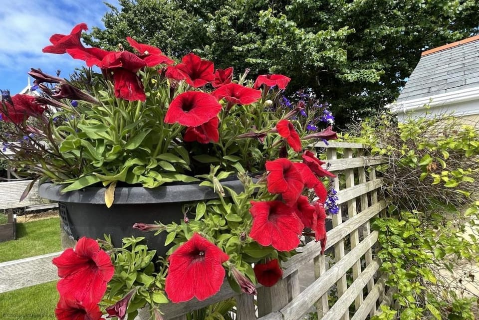 CROYDE WONKY COTTAGE 1 Bedroom House in Georgeham