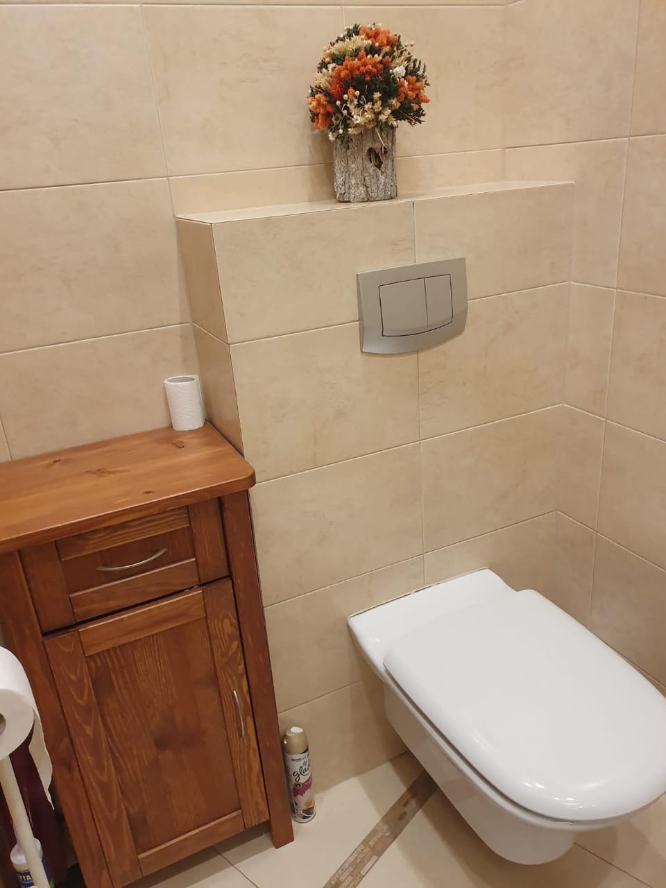 Toilet, Bathroom
