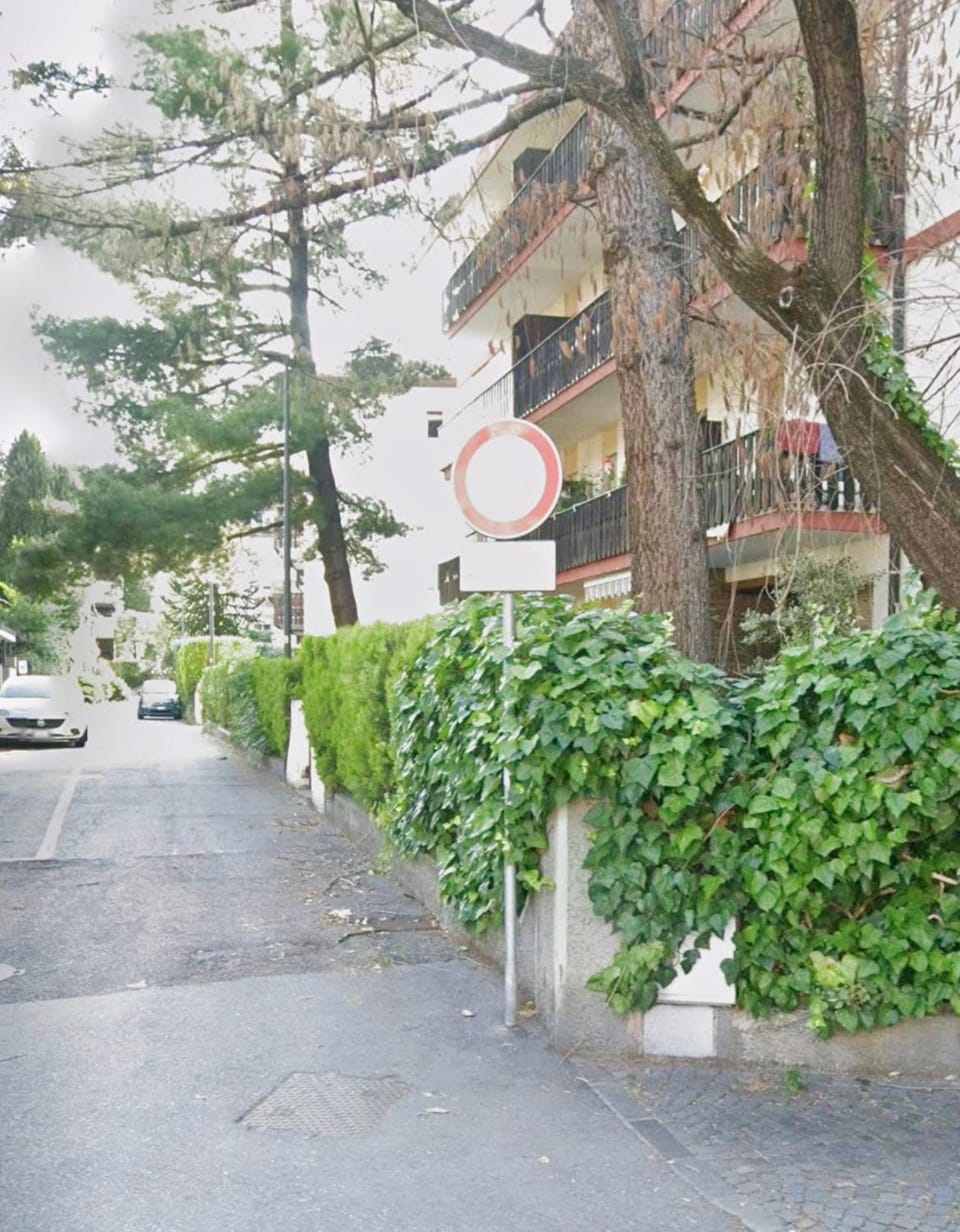 Property building, Spring, Day, Neighbourhood, Street view, Parking
