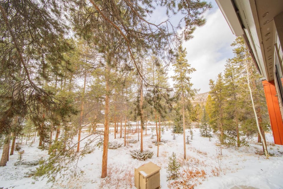 Flying Dutchman 1106 by SummitCove Lodging in Colorado House in Keystone