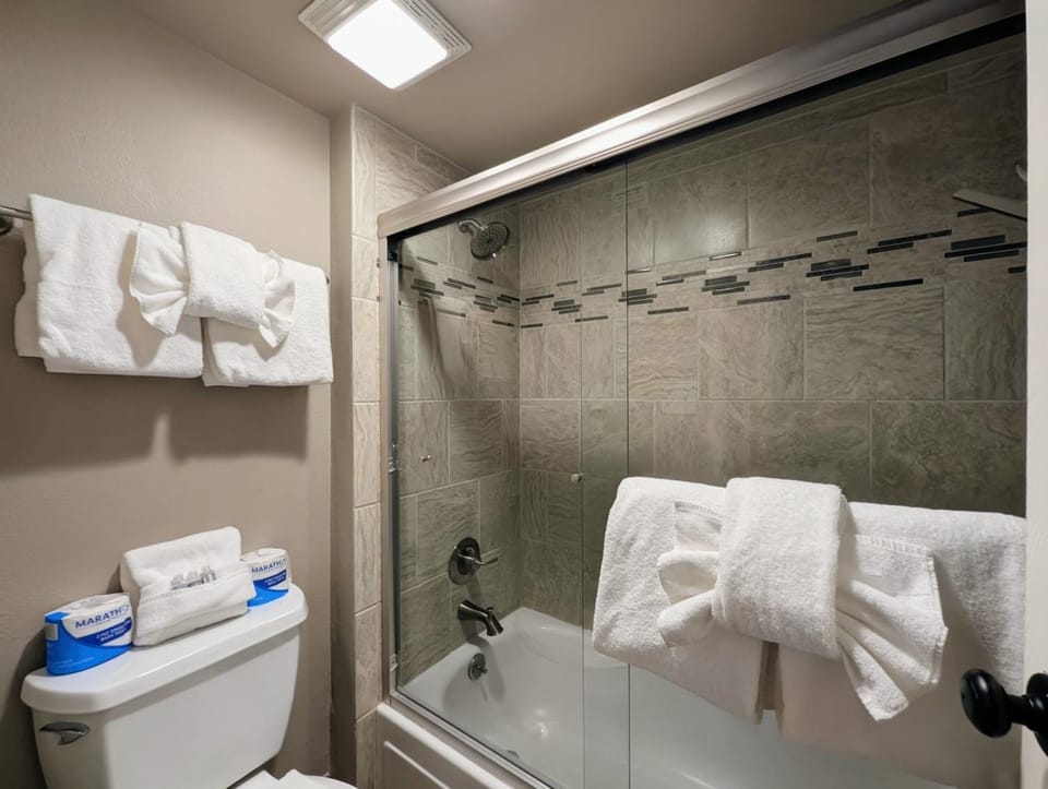 Shower, Toilet, Bathroom, Bath, towels