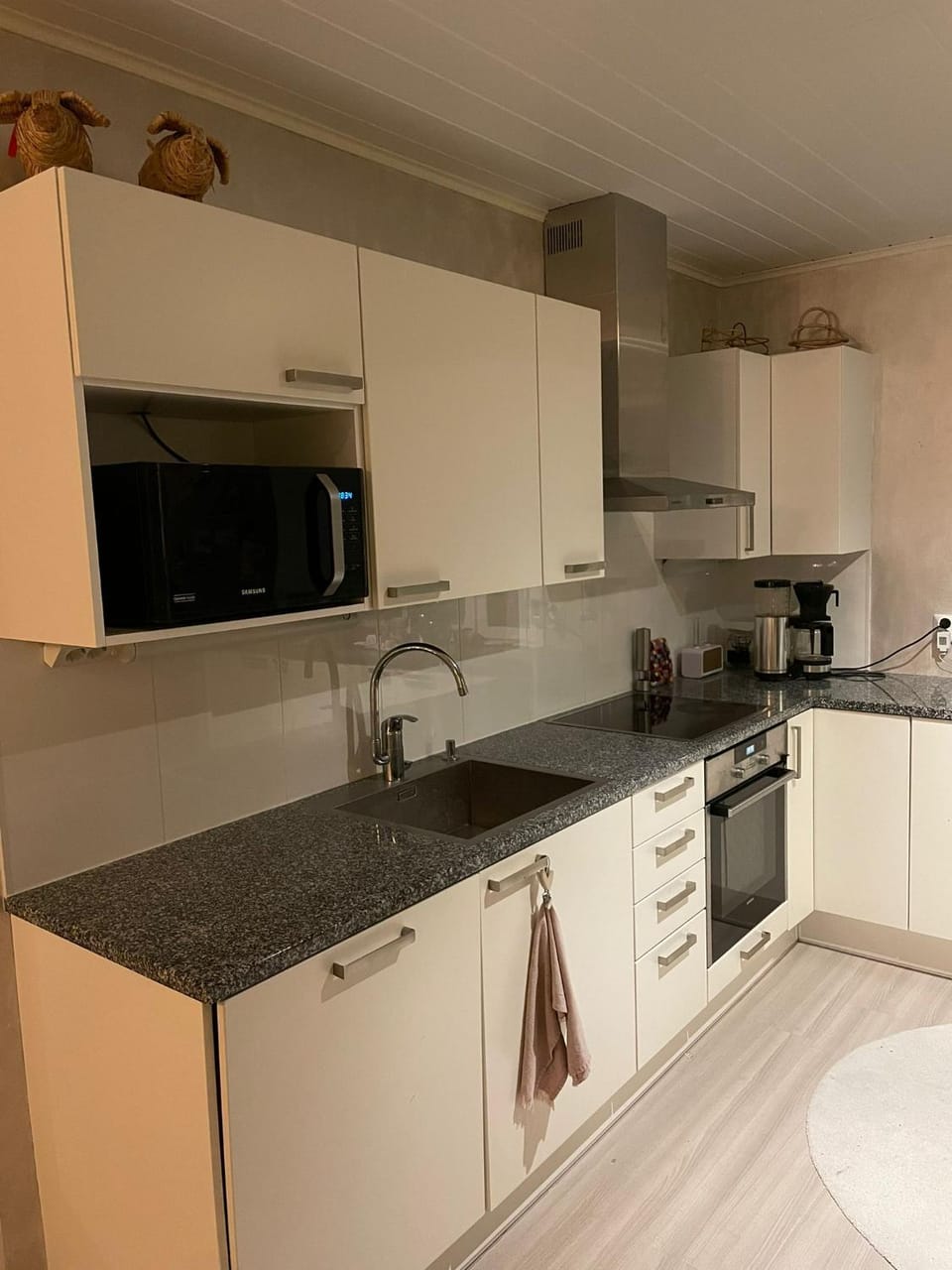 Kitchen or kitchenette, dishwasher, minibar, pet friendly