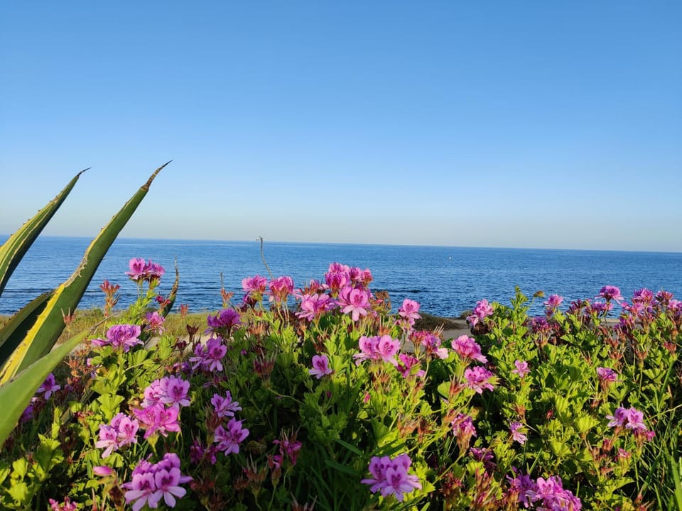 Natural landscape, Sea view
