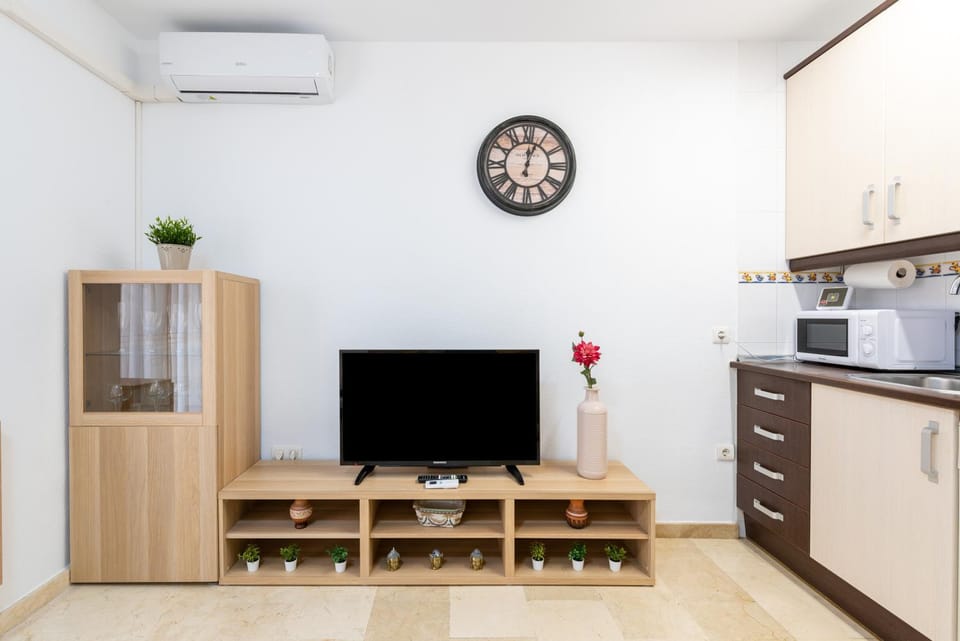 TV and multimedia, Kitchen or kitchenette, minibar, stove, air conditioner