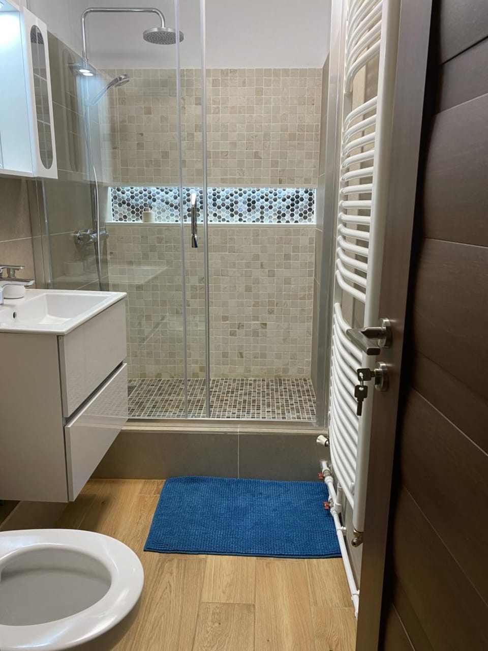 Shower, Toilet