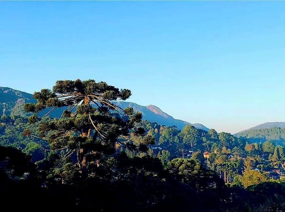 Suíte Buquê de Noiva Bed and Breakfast in Monte Verde