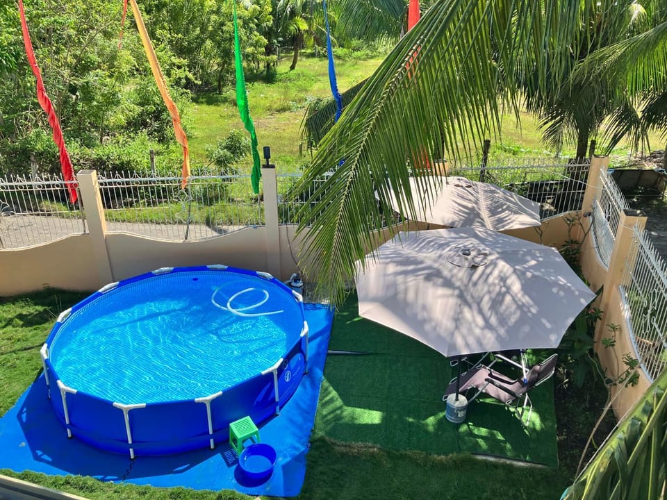 Garden, Swimming pool