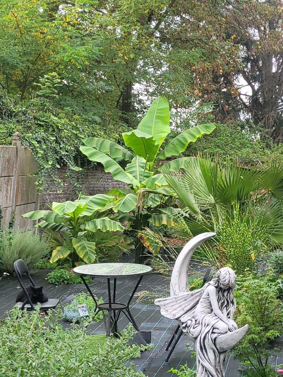 Natural landscape, Garden, Garden view