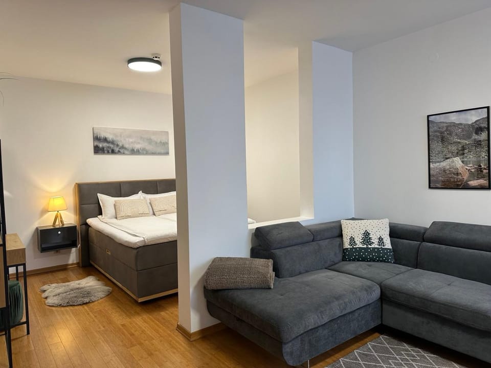 Sana Ski apartment 620 in Flora, Borovets Apartment in North Macedonia