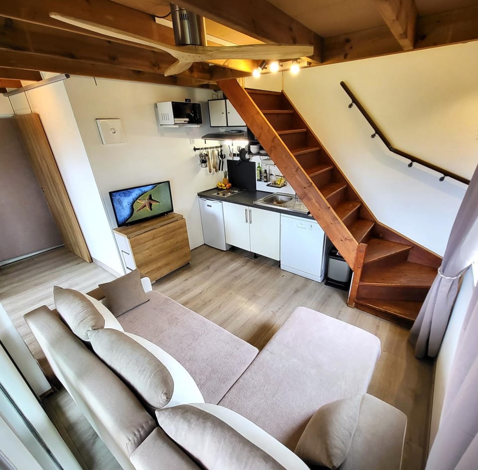 TV and multimedia, Living room, Entertainment, fireplace, air conditioner