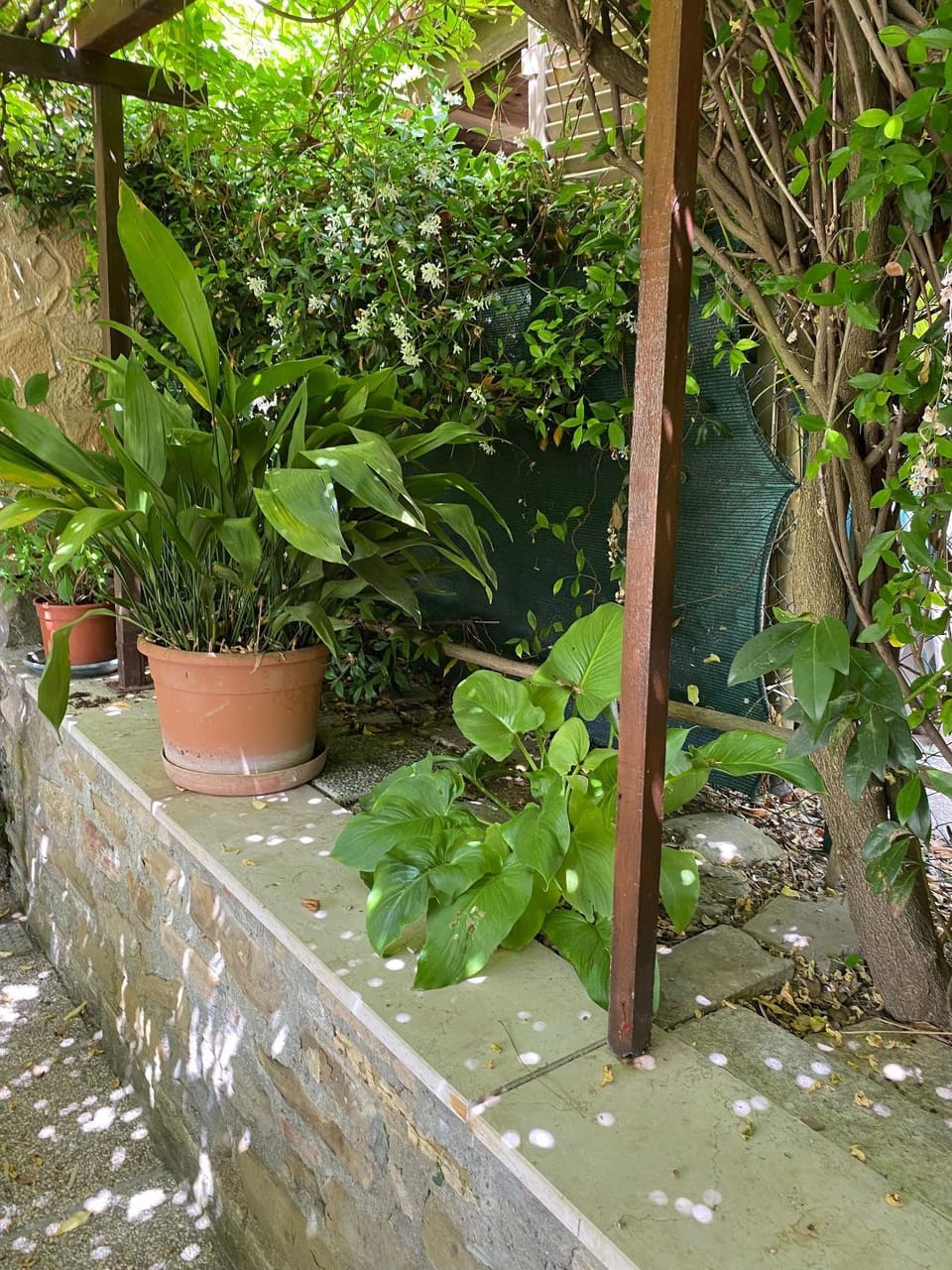Balcony/Terrace, Other