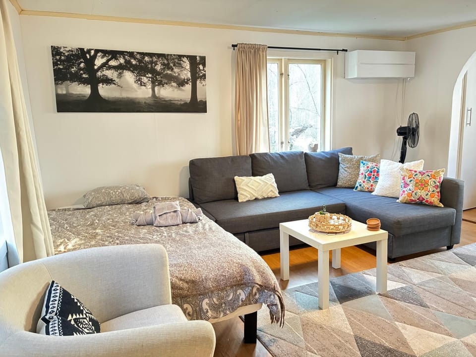 Living room, Seating area, air conditioner