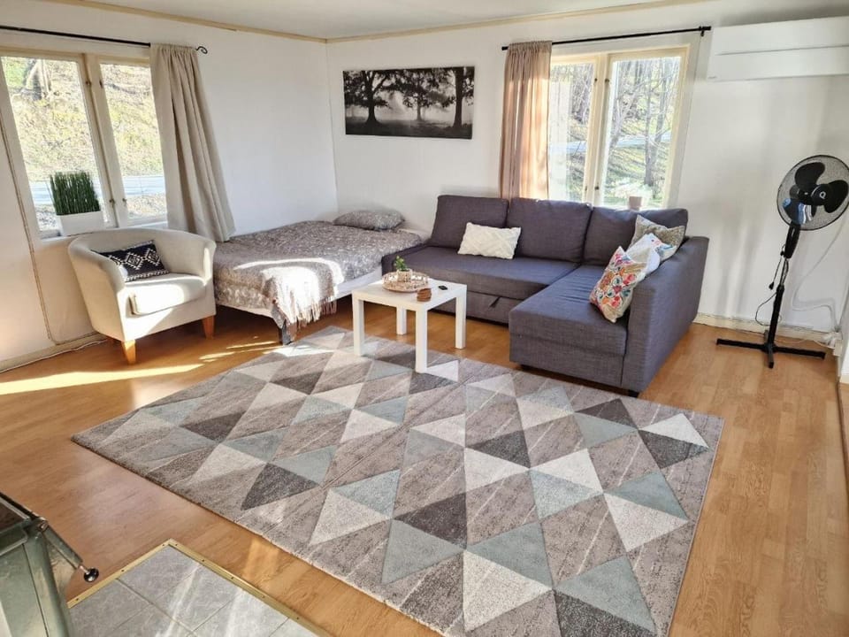 Bed, Living room, Photo of the whole room