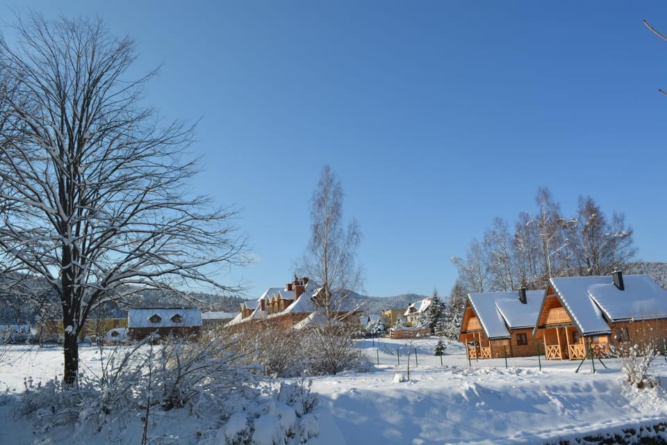 Day, Natural landscape, Winter