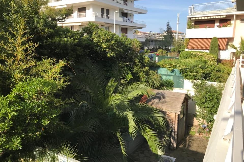 Garden view