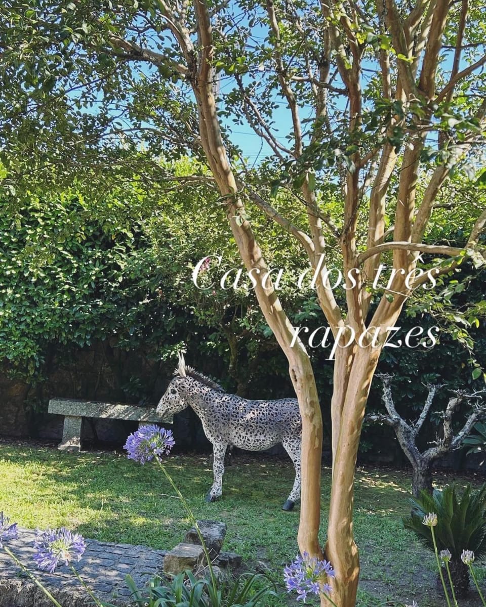 Natural landscape, Garden, Garden view