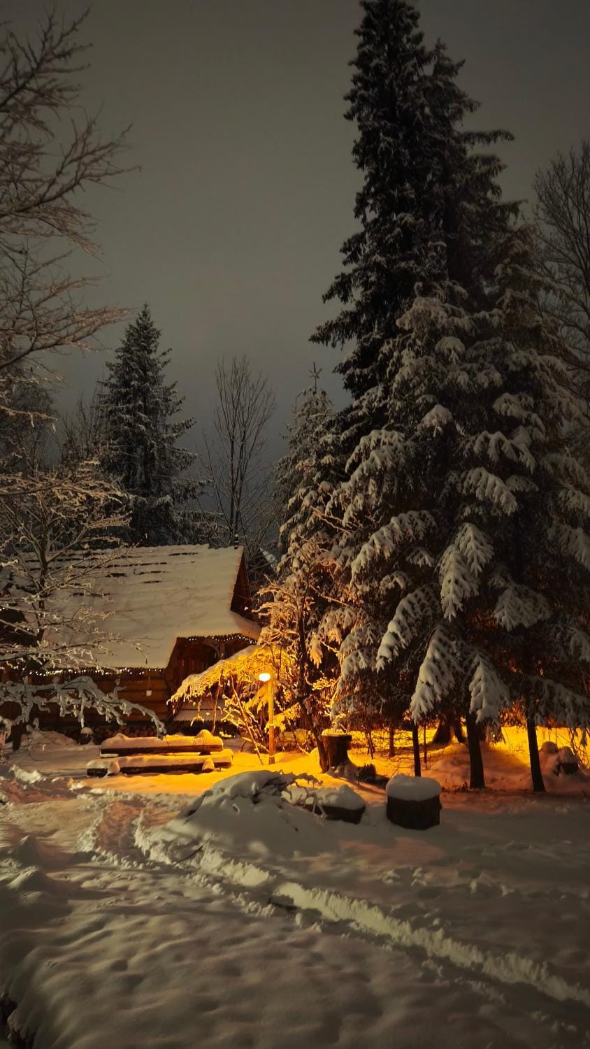 Property building, Night, Winter