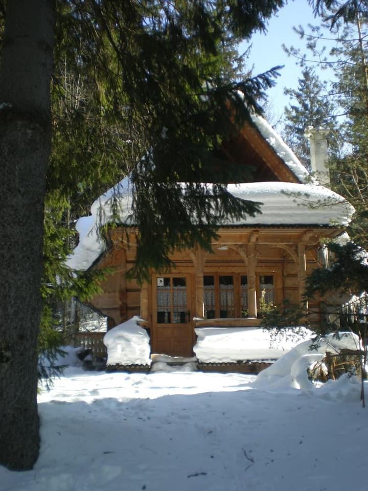 Domek Raj Zakopane Chalet in Zakopane