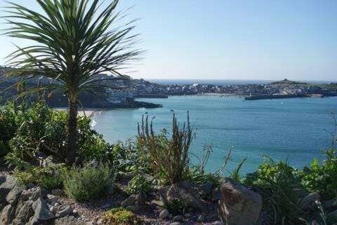 Natural landscape