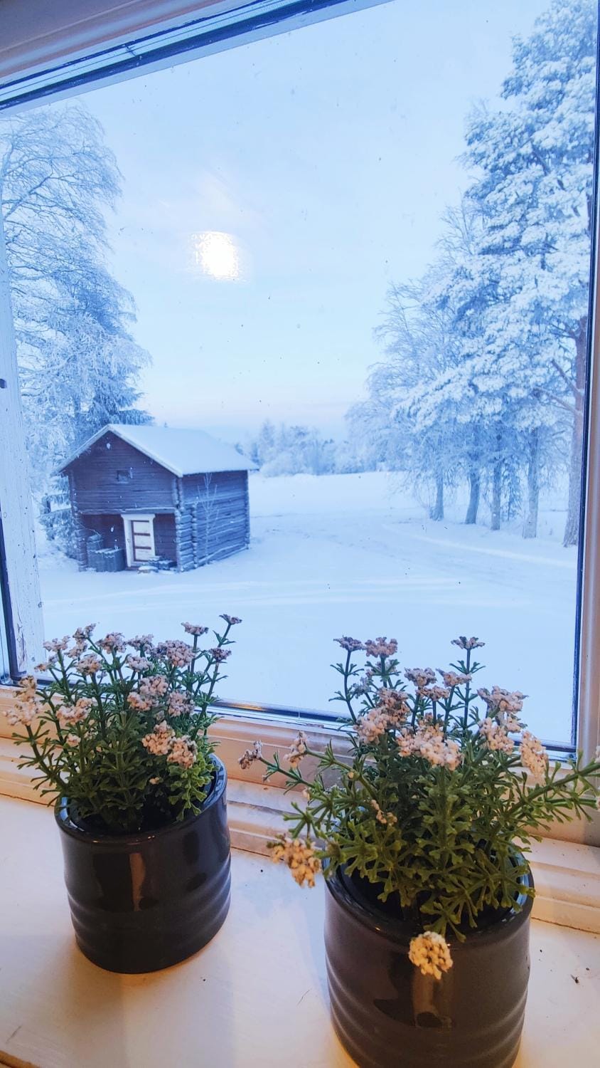 Natural landscape, Winter