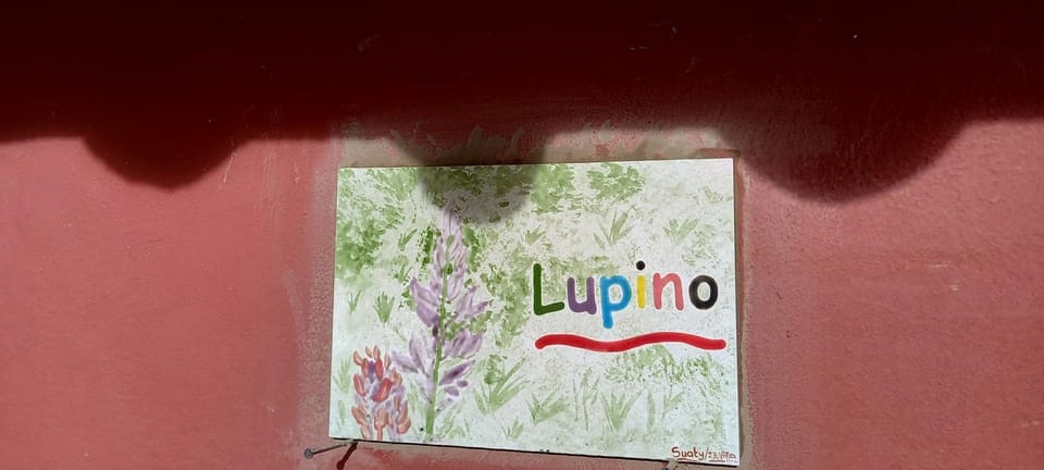 Logo/Certificate/Sign