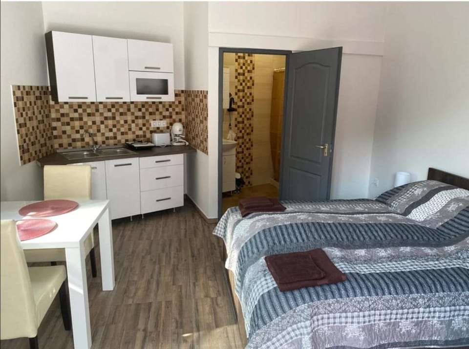 Erős Apartman Apartment in Hungary