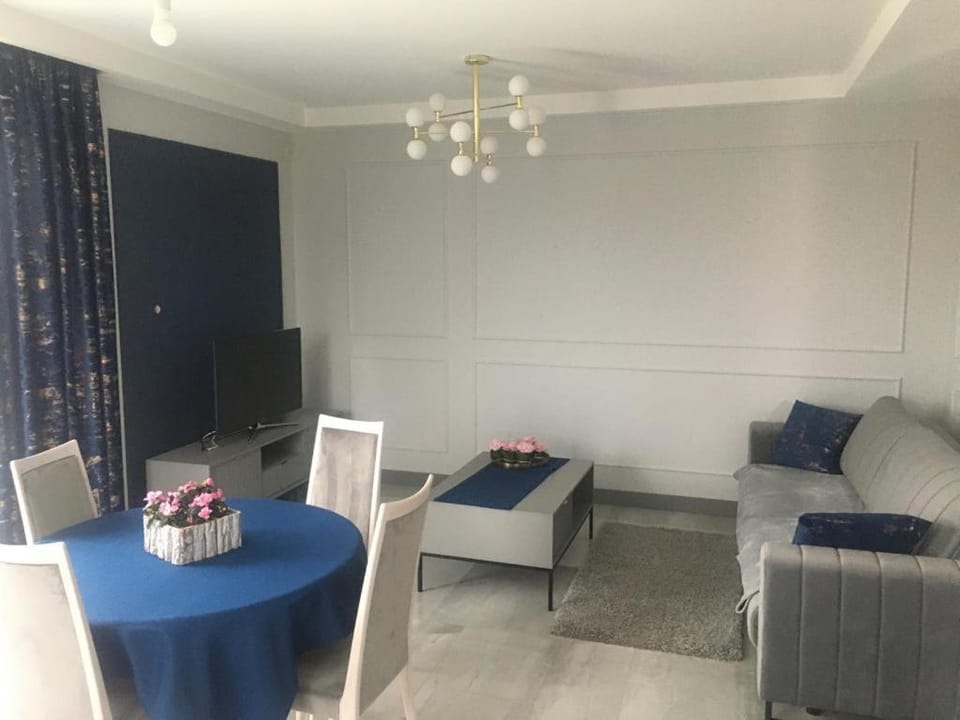 Apartament Janów Podlaski Apartment in Poland