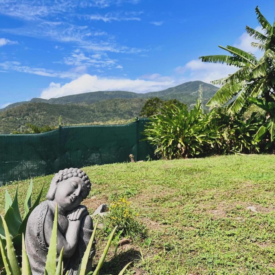 Le Jardin Zen House in Bouillante