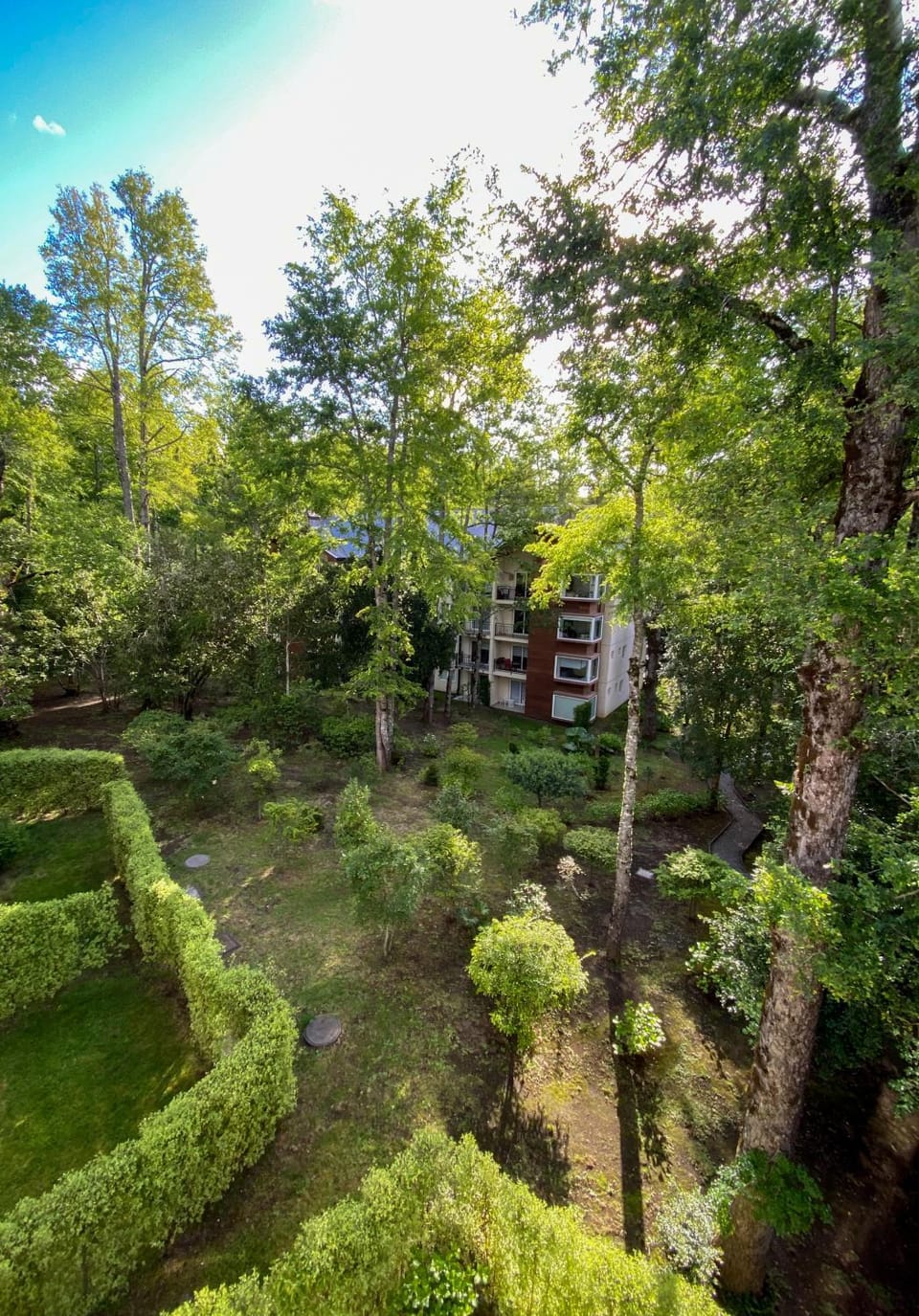 Departamento boutique en entorno nativo. Apartment in Pucon