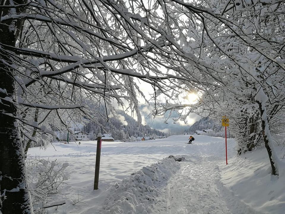 Natural landscape, Winter, Skiing