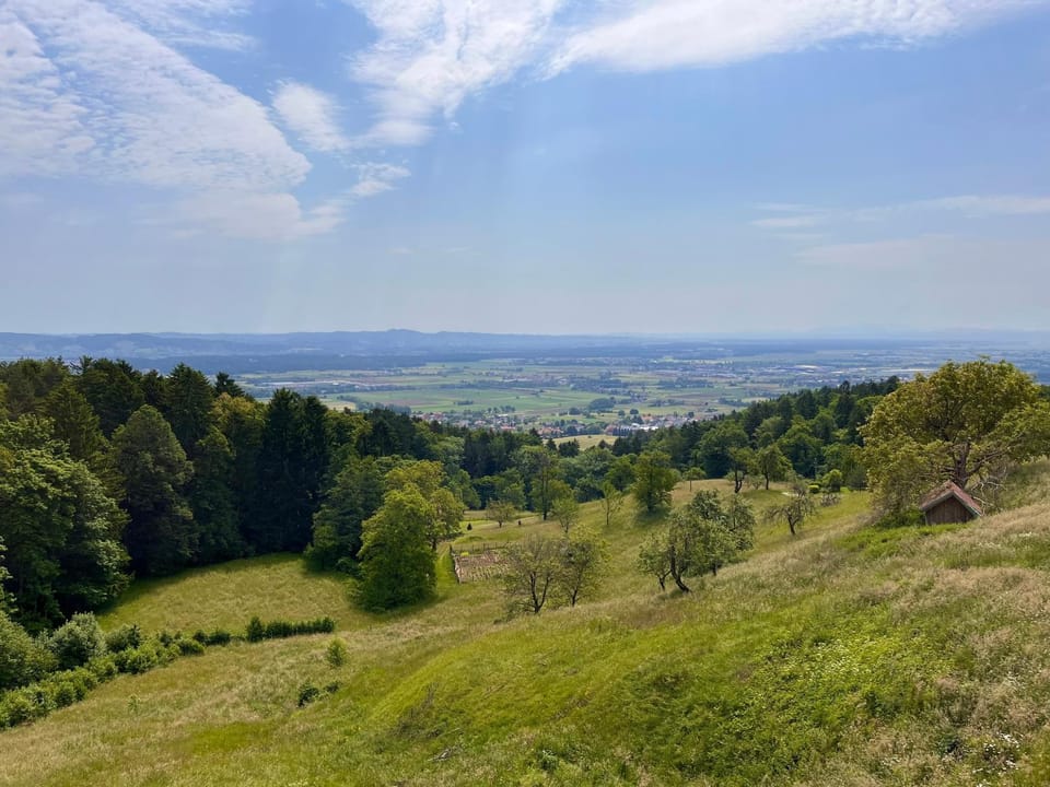 Spring, Day, Natural landscape, Garden, View (from property/room), Mountain view