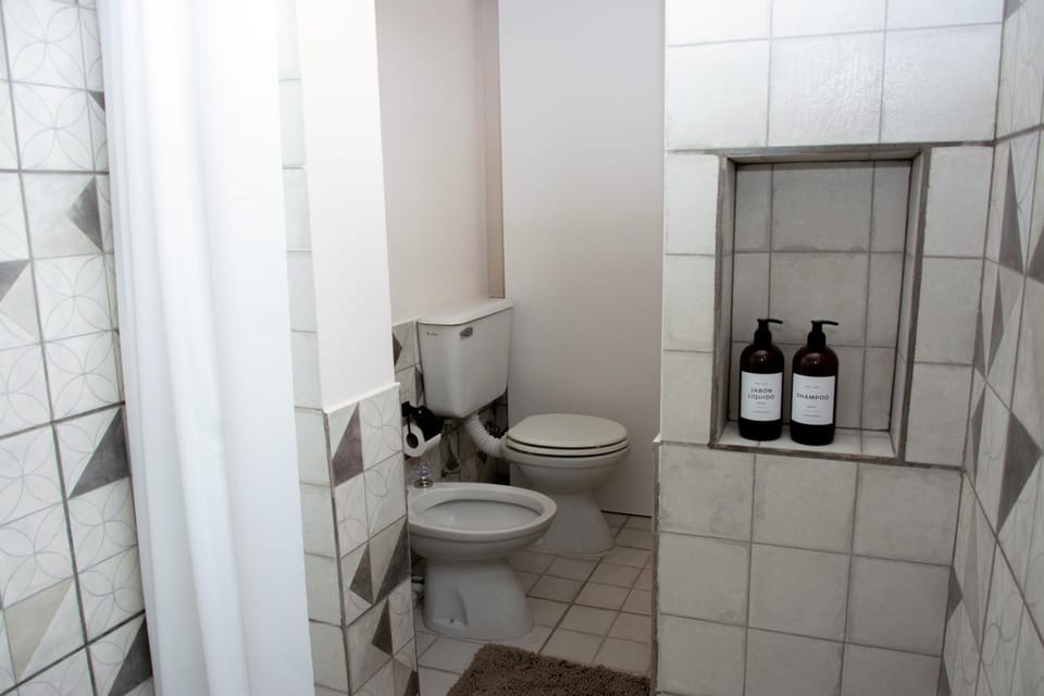 Shower, Toilet, Bathroom, bidet