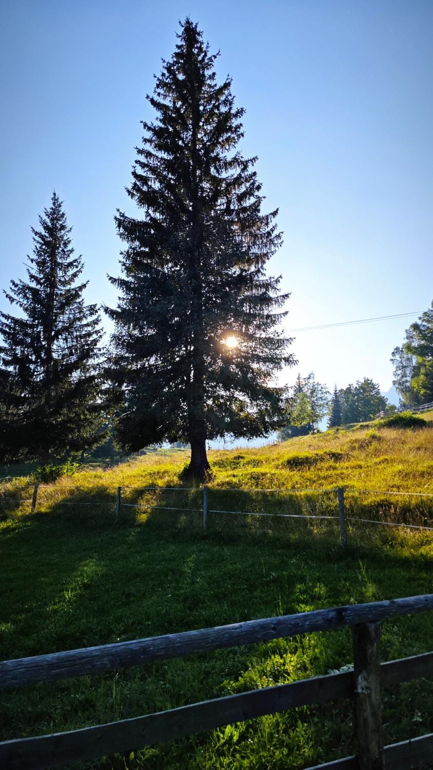 Natural landscape