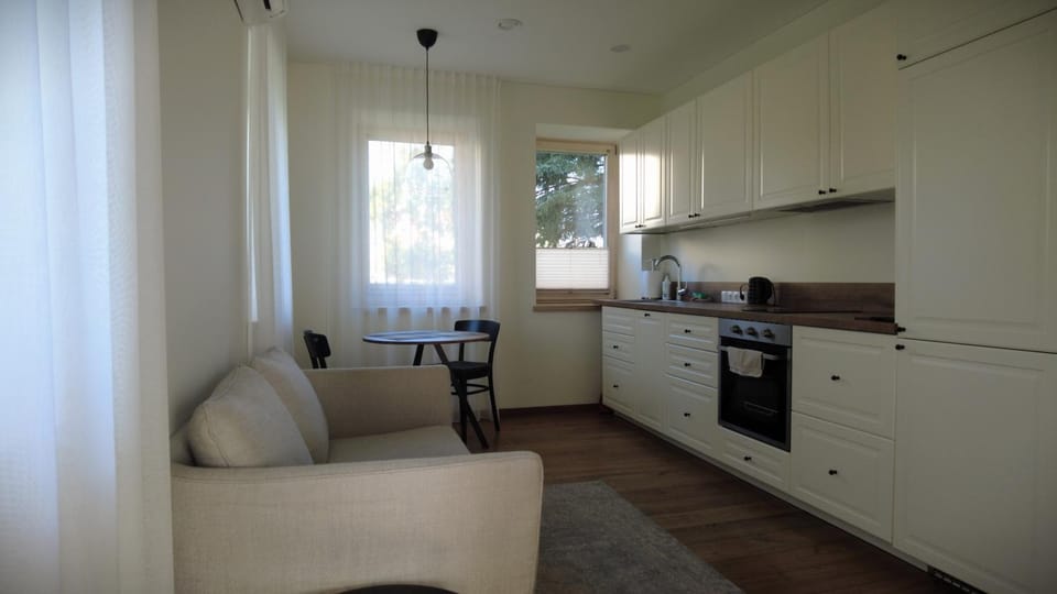 Kitchen or kitchenette, Living room, Seating area, Dining area, oven, pet friendly, stove