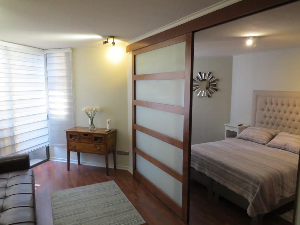 Cómodo y elegante departamento Apartment in Santiago