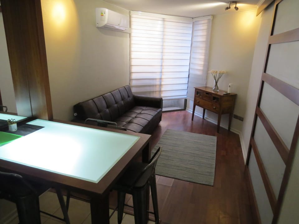 Cómodo y elegante departamento Apartment in Santiago