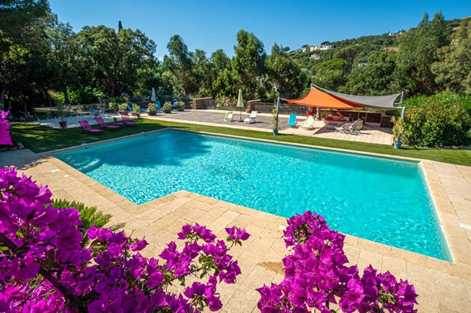 Natural landscape, Garden, Garden view, Pool view, Swimming pool, Swimming pool, sunbed