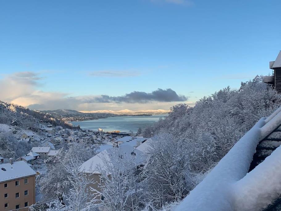 Natural landscape, Winter, Mountain view, Sea view