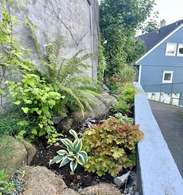 Garden, Garden