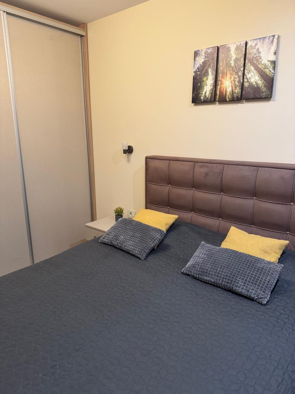Apartman Dream LUX & SPA - Vila Matis Apartment in Zlatibor